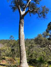 🌄 Kalamunda National Park – Nature’s Hidden Retreat Near Perth