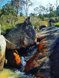 🌿 Gooseberry Hill National Park – Perth’s Hidden Gem on a Hill