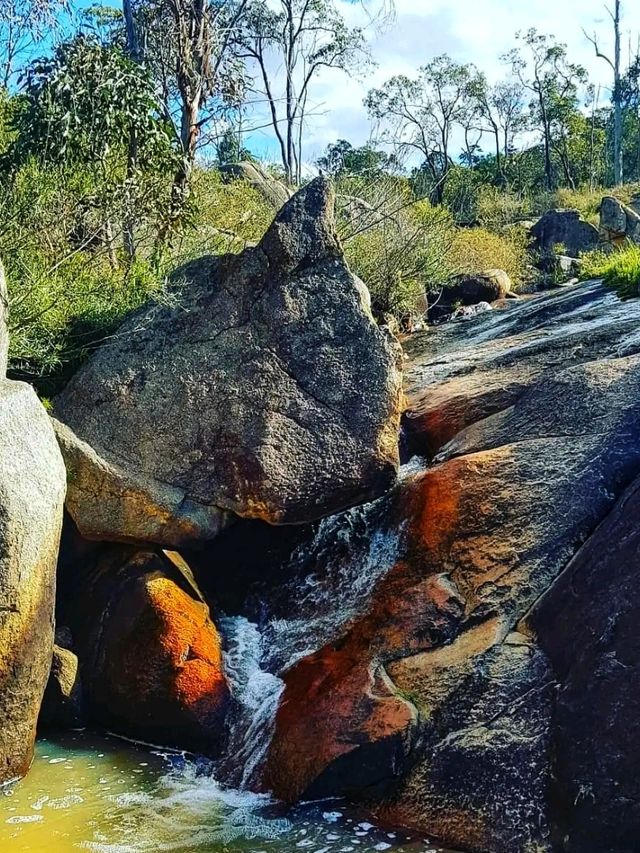 🌿 Gooseberry Hill National Park – Perth’s Hidden Gem on a Hill