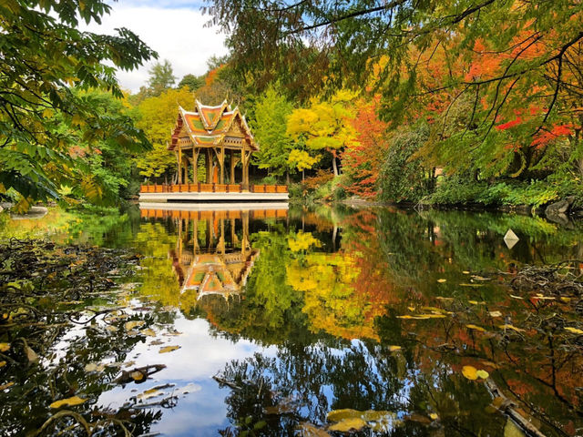 🍁🍂楓葉灑落城市秘景好療癒  🍁🍂