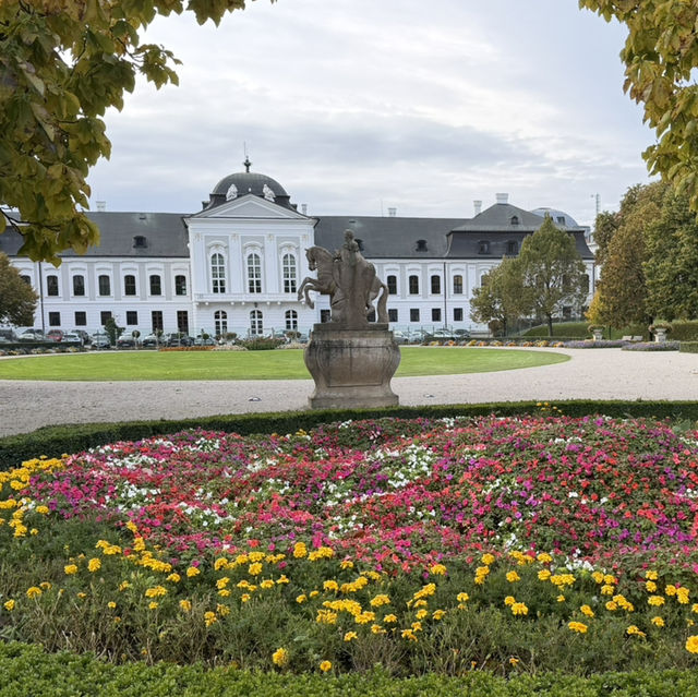 Bratislava’s Presidential Palace: Surprises Under Cloudy Skies 👑🌳