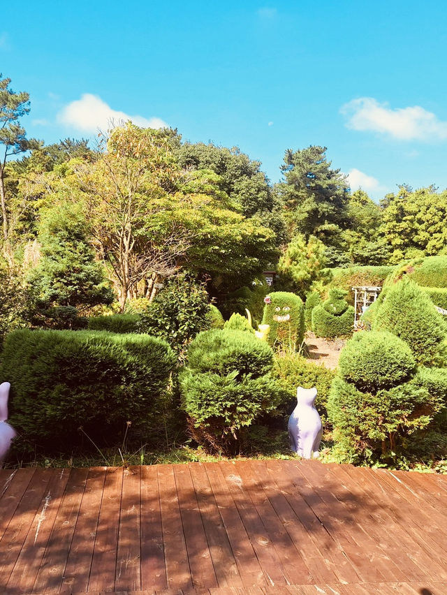 A Unique Photo and Memory Spot