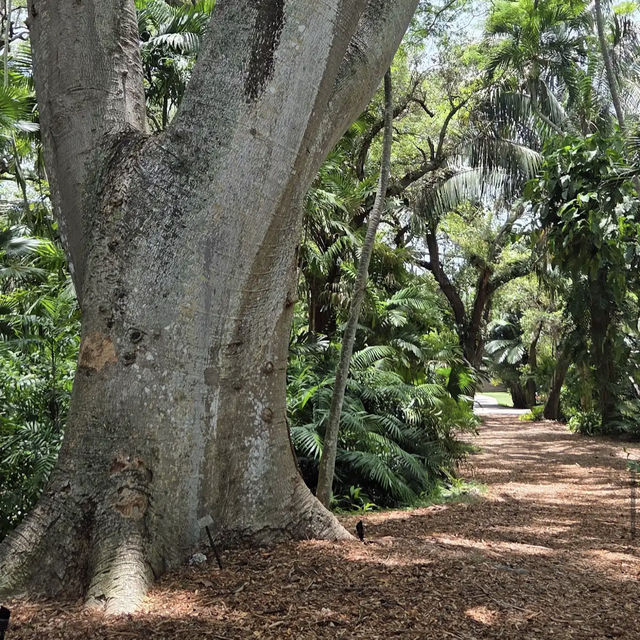 Fairchild Tropical Botanic Garden