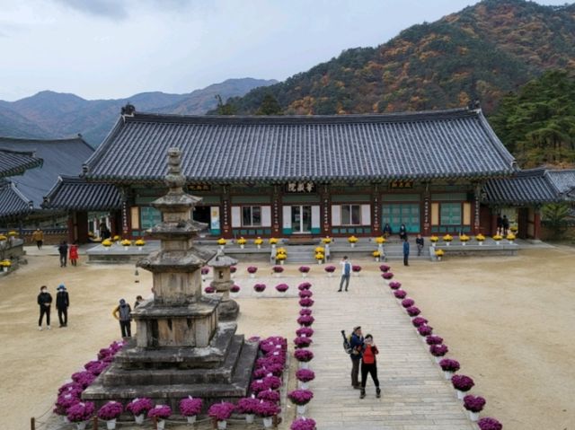 고즈넉한 사찰에서 단풍도 보고 국보도 보는 가을 여행 🧡