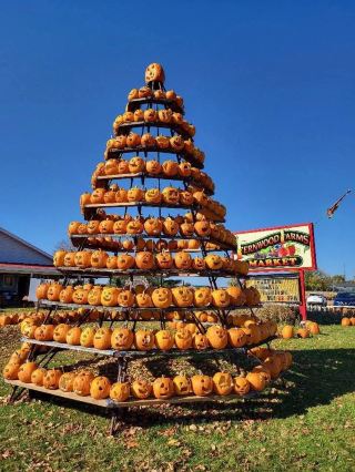 Halloween holiday limited! Fernwood Farms and Market is a popular photo hotspot in Clearview, transforming into a pumpkin-themed town every October during Halloween.

🎃 Travel route recommendation
Once you enter, you will see pumpkin faces made of haystacks and colorful pumpkins sitting in rows. The picture is super beautiful under a sunny day. The whole farmland is paired with electric poles and Chinese-style architecture in the distance, which is especially American and Canadian. It is recommended to start from the main entrance and check in at the pumpkin decoration area, then slowly walk to the market to visit, where you can buy local fresh apples, pears, pumpkins, honey and other agricultural products. There are also small flower fields and other handmade desserts, all available for tasting.
