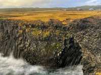 The Coastal Beauty of Arnarstapi