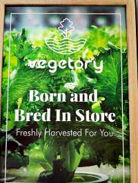 Farm-to-Table Freshness at Vegetory 🌱🥗