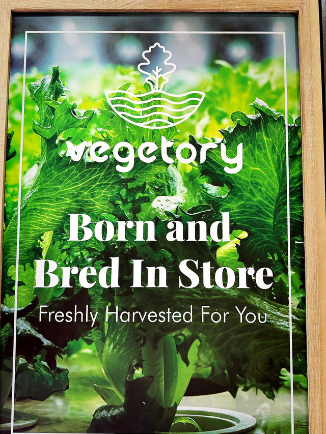 Farm-to-Table Freshness at Vegetory 🌱🥗