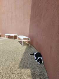 ๐ฌํ์์ ์์นํ ์ค์
๋ทฐ ์นดํ ์ปคํผ์ธํฐ๋ทฐ ํ๋๋ฆฌ