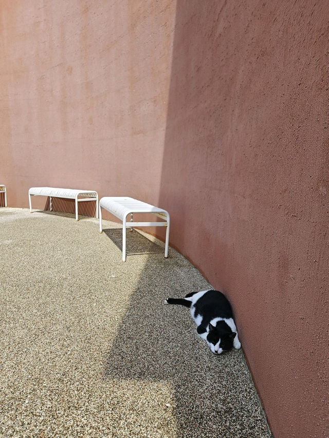 ๐ฌํ์์ ์์นํ ์ค์
๋ทฐ ์นดํ ์ปคํผ์ธํฐ๋ทฐ ํ๋๋ฆฌ ๐ฌํ์์ ์์นํ ์ค์
๋ทฐ ์นดํ ์ปคํผ์ธํฐ๋ทฐ ํ๋๋ฆฌ