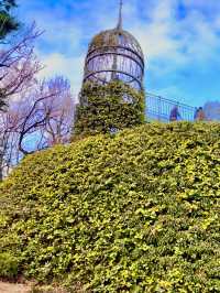 잊지 못할 겨울의 도쿄 지브리 미술관 🎞️❄️