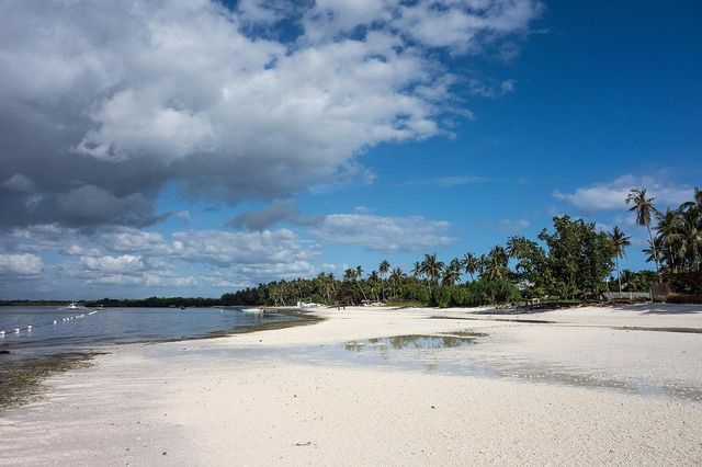 Doljo Beach - Starfish everywhere!