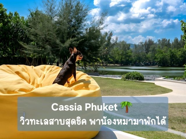 ที่พักภูเก็ตวิวทะเลสุดชิค พาน้องหมาเที่ยวได้!