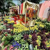 Blooming Beauty in the Flower Dome 🌸