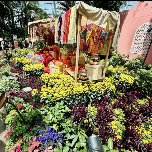 Blooming Beauty in the Flower Dome 🌸