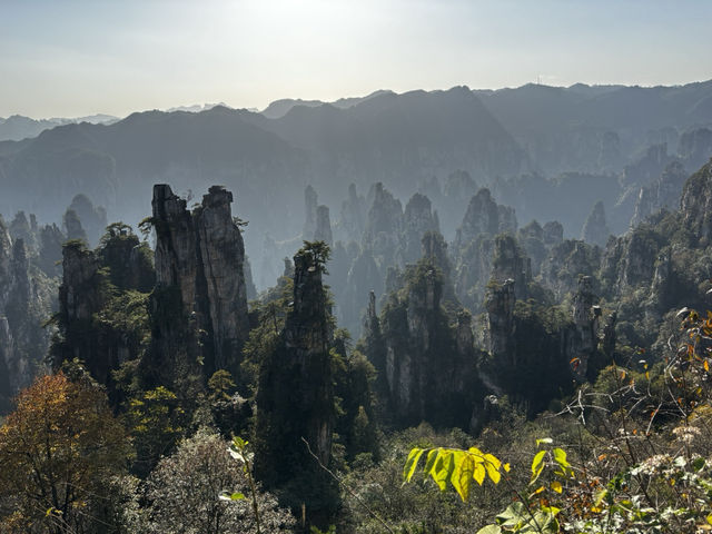 Zhangjiajie National forest park🙌🏼✨🔮 Zhangjiajie National forest park🙌🏼✨🔮