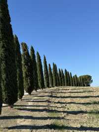 토스카나, 햇살과 언덕이 빚어낸 황금빛 풍경의 땅