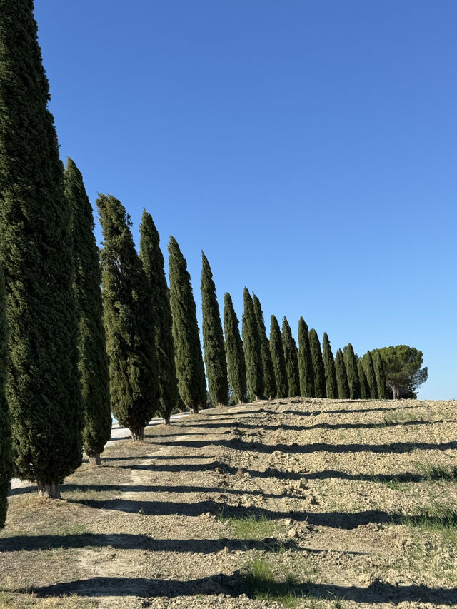 토스카나, 햇살과 언덕이 빚어낸 황금빛 풍경의 땅