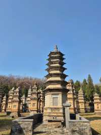 ป่าเจดีย์วัดเส้าหลิน — เงียบ งดงาม ลึกลับ