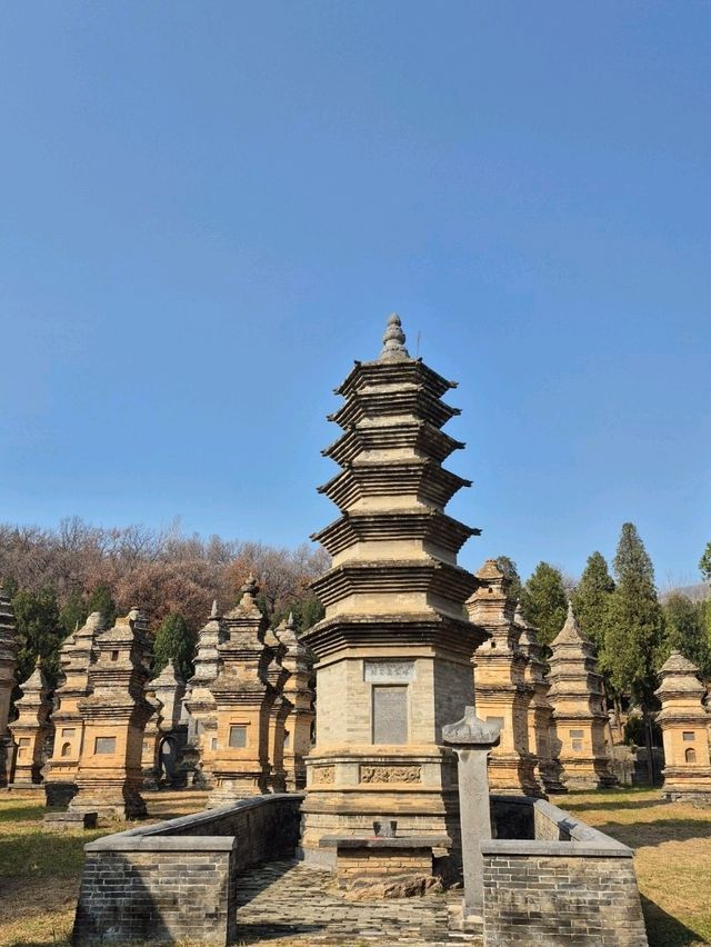 ป่าเจดีย์วัดเส้าหลิน — เงียบ งดงาม ลึกลับ