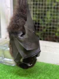 🇯🇵沖繩玉泉洞 × 沖繩世界王國村|走進神秘地底與琉球文化的一天