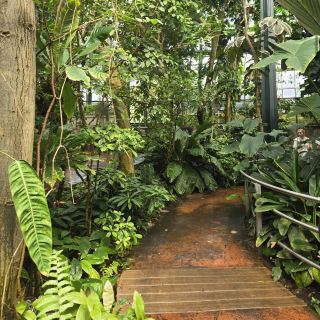 The Huntington Library, Art Museum, and Botanical Gardens