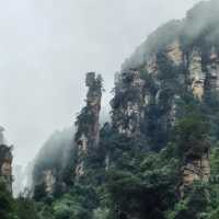 Zhangjiajie National Forest Park — East Gate One-Day Route That Actually Works