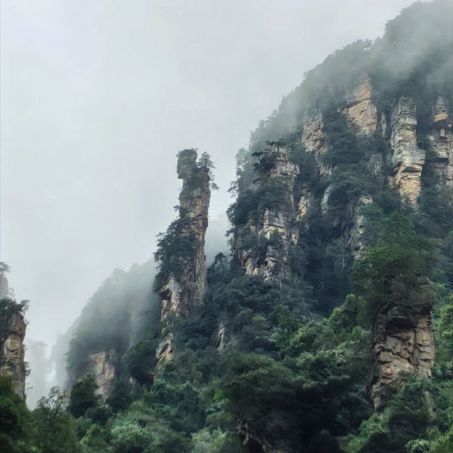 Zhangjiajie National Forest Park — East Gate One-Day Route That Actually Works Zhangjiajie National Forest Park — East Gate One-Day Route That Actually Works