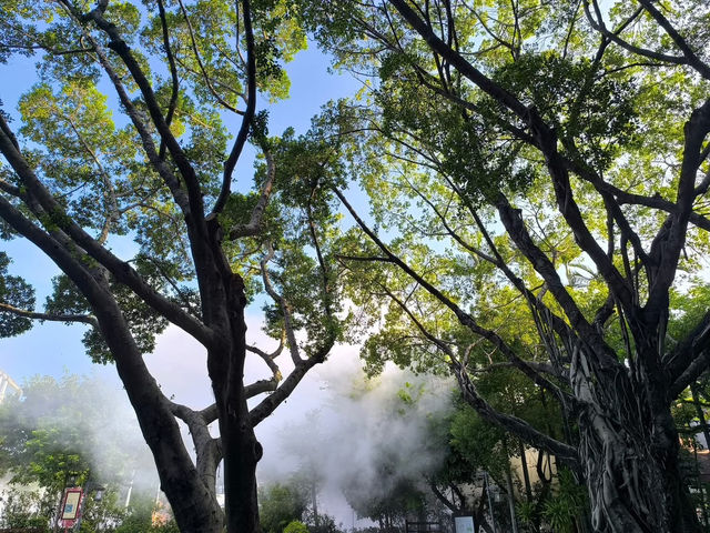 中國泉州 泉州鐘樓 蟳埔漁村