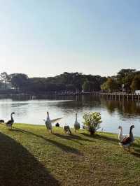 Chimei Park Stroll After Festive Shopping
