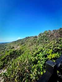 Capture Holiday Memories at Eluanbi Lighthouse Before Gift Shopping