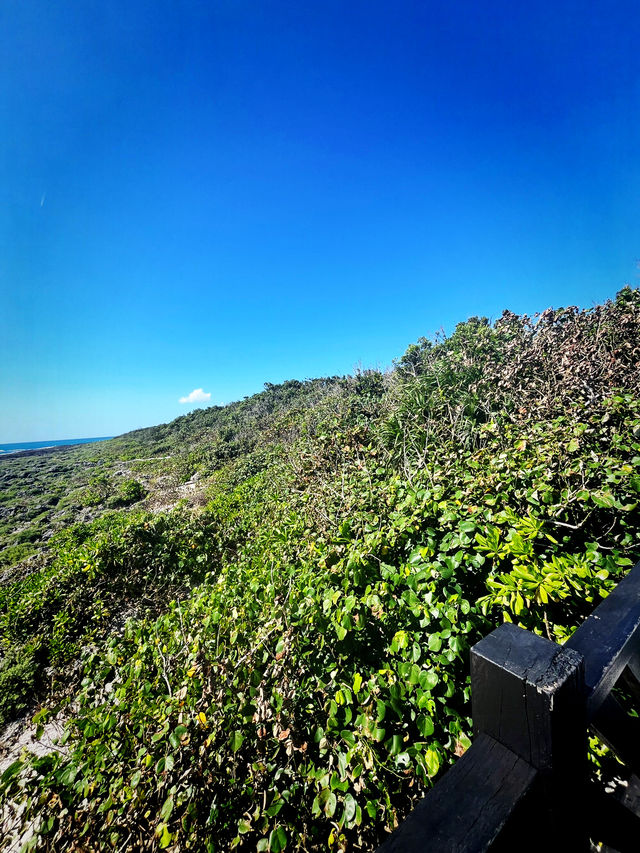 Capture Holiday Memories at Eluanbi Lighthouse Before Gift Shopping Capture Holiday Memories at Eluanbi Lighthouse Before Gift Shopping