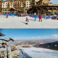 Ski Magic at Thaiwoo⛷️