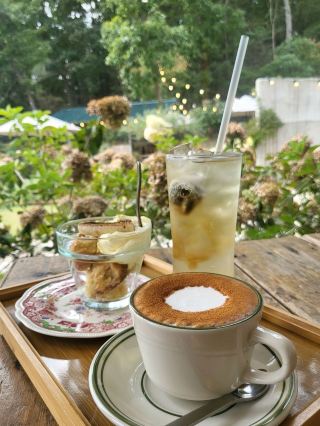 🎄🫧 ที่ซึ่งธรรมชาติและอารมณ์มาบรรจบกัน คาเฟ่ริม ยองจงโด 🌳