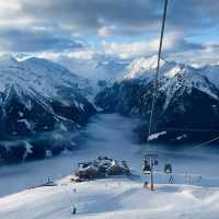 藍天下松樹雪峰觀景路線