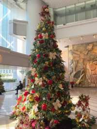 Pocket-Sized Joys in Lippo Centre