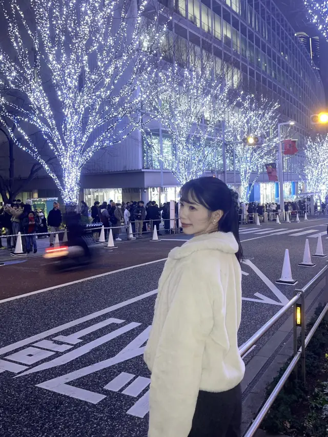 Tokyo Roppongi's Most Beautiful Christmas Lights