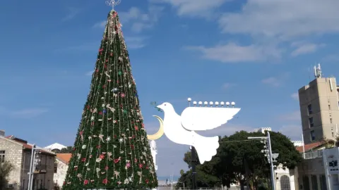 Haifa Main Street Magic 🍷🎄✨ Baha’i Gardens Views — traveler post in Haifa