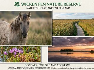 National Trust - Wicken Fen Nature Reserve