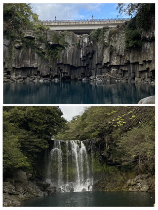 🇰🇷 제주 천제연에서 만나는 자연 속 감성 산책 🌿💧