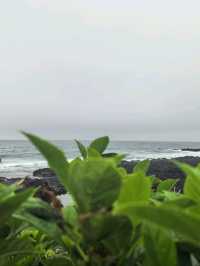 Namwon Jeju: для романтических выходных на острове