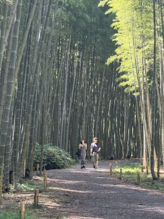 Wakayama Farm ป่าไผ่สไตล์เกียวโตที่ดีกว่าเดิม (เพราะไม่ต้องเบียดเสียดหรือต่อคิว)