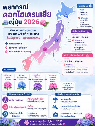 2026年日本紫陽花（繡球花/Ajisai）花期預測。