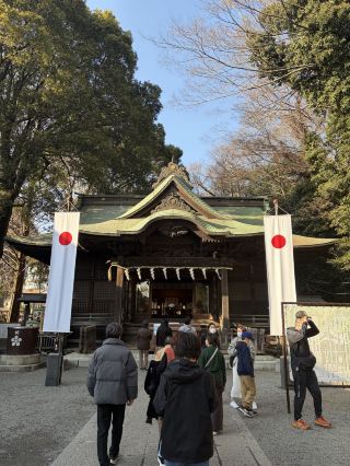 The plum blossoms at Yaho Tenmangu Shrine herald the arrival of spring 🌸⛩️