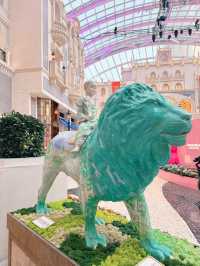 🦁美高梅內的獅子群