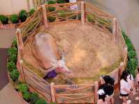 พจญภัยกับสัตว์นานาชนิด ยกมาไว้ที่ซีคอนศรีนครินทร์
