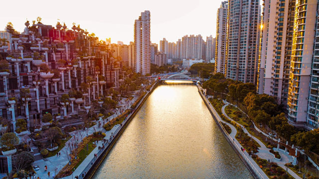 Serenity in Shanghai's 1000 Trees 🌳🧘🌳