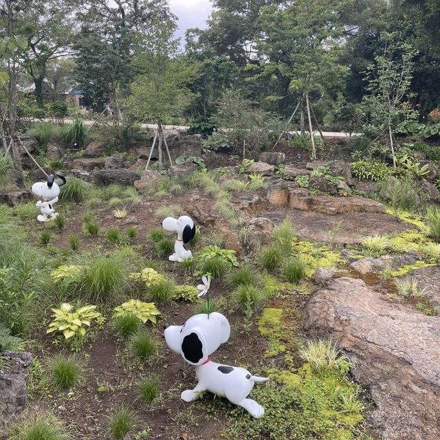 제주도 스누피 가든 탐방기🫠