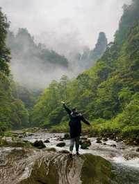 Immerse Yourself in the Avatar Mountains
