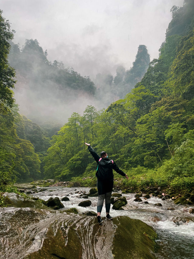 Immerse Yourself in the Avatar Mountains